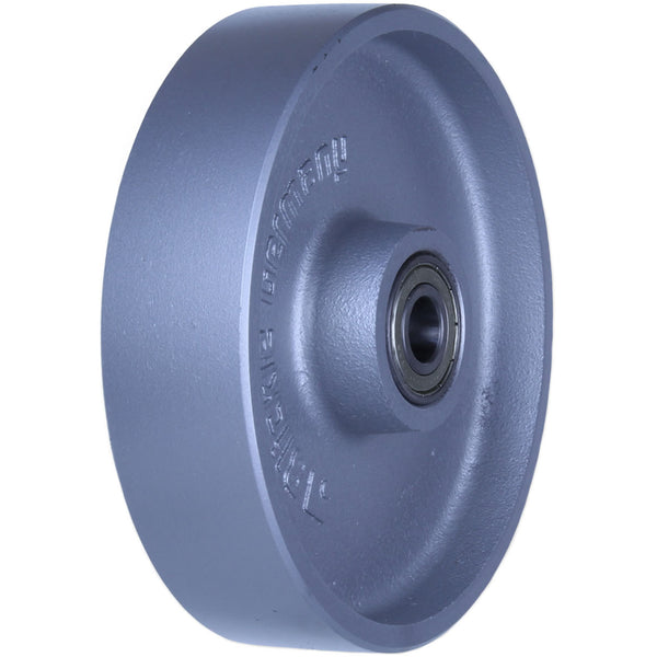 G200/20K <span>1000 Kg 200mm Cast Iron</span>